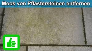 Dies bedingt die entstehungsgeschichte der steine und damit verbunden die offenporigkeit des sandstein. Moos Grunbelag Von Pflastersteinen Terrasse Entfernen Hausmittel Moosentferner Anleitung Youtube