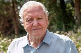I often get letters, quite frequently, from people who say how they like the programmes a lot, but i never give credit to the almighty power that created nature. David Attenborough S Message Of Hope As He Insists 2021 Can Bring Positive Change Irish Mirror Online