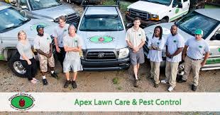 Find the best lawncare specialist in minutes. Organic Lawn Care Apex Nc Pleasant Green Grass