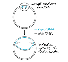 نتیجه جستجوی لغت [replication] در گوگل