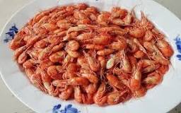 Image result for Glass Shrimp