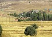 Profile Picture of Esra Gucuk (@GucukEsra) / Xon Google