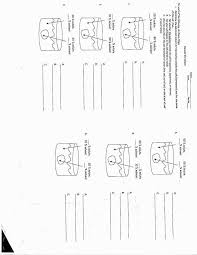 List 5 mechanisms by which molecules pass through the plasma membrane. Diffusion And Osmosis Worksheet Answer Key Worksheets Math Workbook Cursive Writing Worksheets