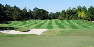 Maybe you would like to learn more about one of these? Crowfield Golf Club South Carolina Golf Package Custom Santee Sc Golf Packages