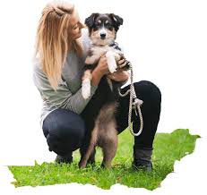 Best rated cat boarding experts. Pet Boading Yarrambat Doreen Diamond Creek Eltham Whittlesea