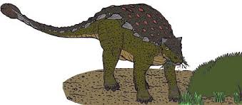 Tarchia este cel mai tânăr din punct de vedere geologic dintre toți dinozaurii ankilozauridi asiatici cunoscuți. Tarchia Dinosaur Pictures Pictures Of Tarchia