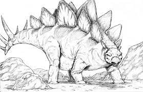 Stegosaurus Dinosaur Drawing Creature Drawings Animal Drawings