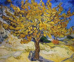 Like branches of a mustard tree, christianity spread throughout the roman empire and into india and ethiopia. The Little Seed That Filled The World Matthew 13 31 32 Seeking The Kingdom