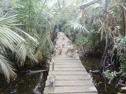 Image result for Pulau Kembang, Banjarmasin