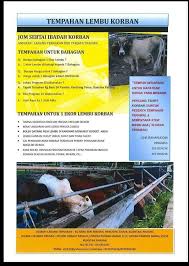 Sementara itu, ember 2.5 galon cor silver. Tempahan Lembu Korban Dibuka Lembu Korban Kuantan Facebook