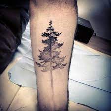 Getting a tree tattoo may be very cool. 70 Pine Tree Tattoo Ideas For Men Wood In The Wilderness