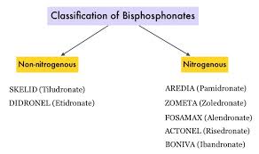 Image result for Bisphosphonates