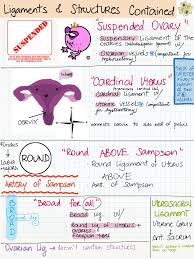 Contemporary practice is to assign a number from i to iv to a cancer, with i being an isolated cancer and iv being a cancer that has spread to the limit of what the assessment measures. My Notes For Usmle