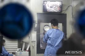 백신여권 든 여행객에 유럽 공항 활기 '델타변이 확산' 우려도. Amqn8lmkhmwj M