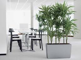Decoración de terrazas y exteriores con plantas artificiales. Plantas Artificiales Grandes Tendencias Naturales