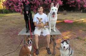 Does the police department pay their dogs? Dog Training Services Dog Training Dog Trainer Dogs