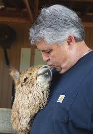 A spark of joy': Carolina Sunshine Alpaca Farm celebrates grand opening