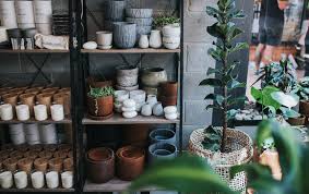 People operations and hr teams use gather to eliminate manual coordination with smart, automated communication powered by a deep integration with slack. Where To Buy Indoor Plants On The Gold Coast Urban List Gold Coast