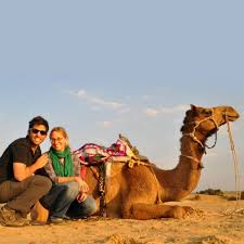 Three other tigers and three lions developed a dry cough, but are expected to recover. Camel Riding Safari Dubai Dubai Project Expedition