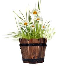 Livrare flori chisinau gratuit de la 300 mdl in florarie online cadourionline. Retro Butoi De Lemn Ghiveci Margine OndulatÄ Ghiveci De Flori De Plantat Gradina Plante Suculente Plantare Container De Flori De Barili Decor Cumpara Online Vanzare Angro Nou Cam