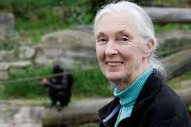 Jane Goodall On Marriage: 'How I Could Do It Twice? I Don't Know'