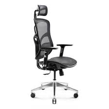 Beinen, einer sitzfläche (unterbau) und rückenlehne. Diablo V Basic Ergonomischer Stuhl Burostuhl Kaufland De