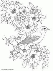 Birds play a major role in our lives, whether we realize it or not. 34 Bird Coloring Pages For Adults Free