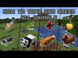 Pin On Minecraft D