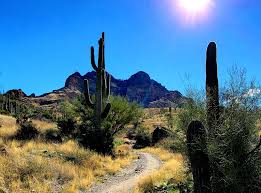 Profile for Aynes Photography