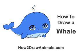 Check out more how to draw videos on the doodlekat1 youtube channel and thanks. How To Draw A Whale Cartoon