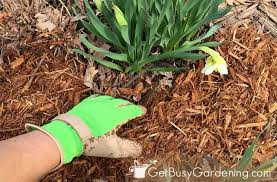We did not find results for: How To Spread Mulch In Your Garden A Step By Step Guide