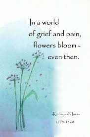 Pin On Famous Quotes