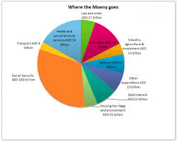 the pie chart gives information on uae government spending