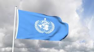 The world health organization (who) was created in 1948 by member states of the united nations (un) as a specialized agency with a broad mandate for who's responsibilities and functions include assisting governments in strengthening health services; Flag Of The World Health Organisation Video By C Handmadepicture Stock Footage 13132206