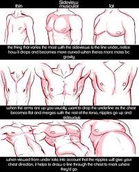 This anatomy study has been so interesting. Character Anatomy Torso