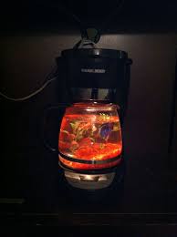 Pin By Karen Gerke On My Stuff Coffee Pot Coffee Theme Kitchen Fish Tank