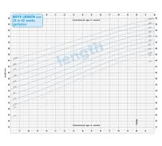 48 Explanatory Average Height Chart Uk