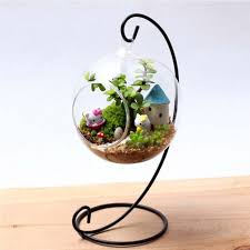 Hanging Glass Vase Hanging Terrarium Hanging Glass Vase Glass Flower Vases