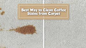 How do you remove coffee stain? Best Way To Remove Coffee Stain From Carpet Stain Fu Coffee Stain Removal Stain Remover Carpet Carpet Stains