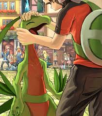 pokemon grovyle pokemon 500 bookmarks パートナーへ pixiv イラスト ポケモン イラスト ポケモン 絵