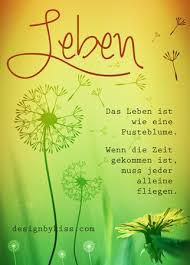 Das Leben Ist Wie Eine Pusteblume Spruche Nachdenkliche Spruche Weisheiten Spruche