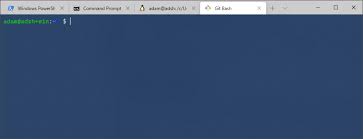 Maybe you would like to learn more about one of these? Adding Git Bash To Windows Terminal Addshore