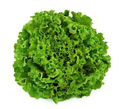 Image result for vegetable