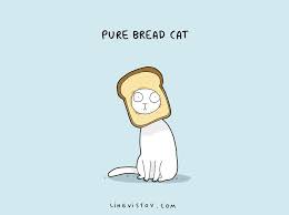 Pin On Cats And Kittys