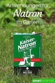 6 Clevere Anwendungen Fur Natron Im Garten Garten Unkraut Im Garten Und Gemuseanbau In Kubeln