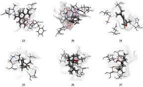 Image result for Euclasta condylotricha