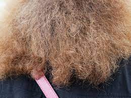 Dry hair is the result of inactive or ineffective oil glands that fail to produce adequate sebum on your scalp. What Causes Frizzy Hair Causes How It Happens Products To Use