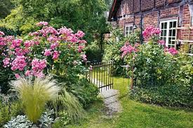 Tipps Fur Den Bauerngarten Bauerngarten Garten Garten Pflanzen