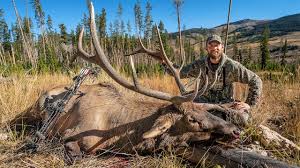 Epic Bow Hunt | The Hunting Public - Hunting, Fishing and Outdoor  Information | FarWide