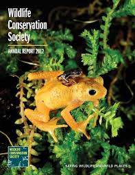 Sistem operasi windows (microsoft windows) jenis jenis sistem operasi komputer. Wcs Annual Report 2012 Wildlife Conservation Society